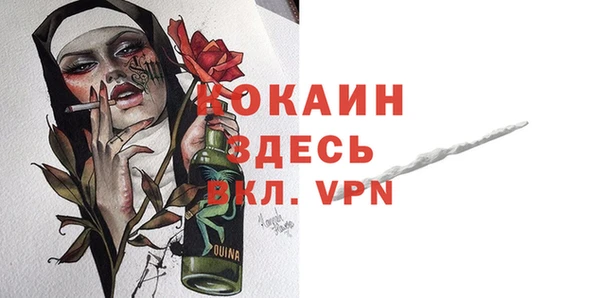 шишки Дмитриев