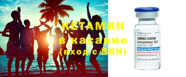шишки Дмитриев