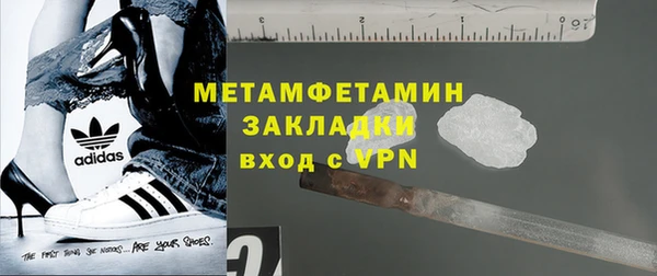 индика Елизово