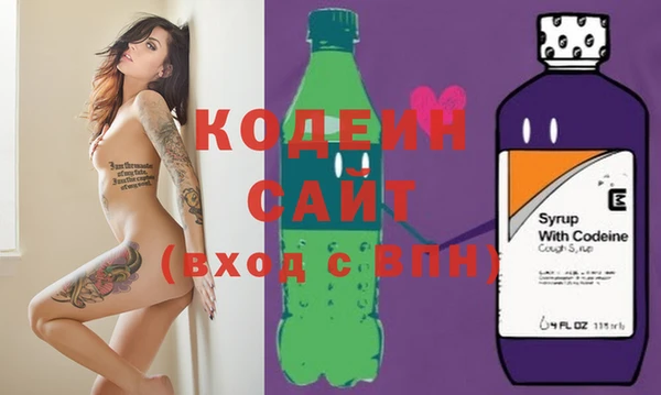 индика Елизово
