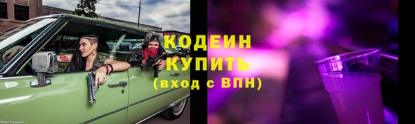 шишки Дмитриев