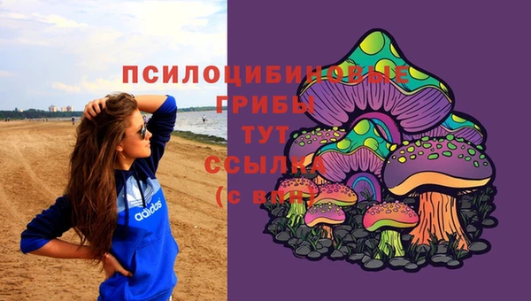 шишки Дмитриев