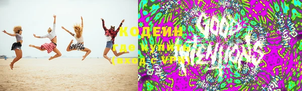 прущие крисы Ельня