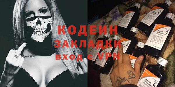 прущие крисы Ельня