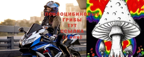 шишки Дмитриев