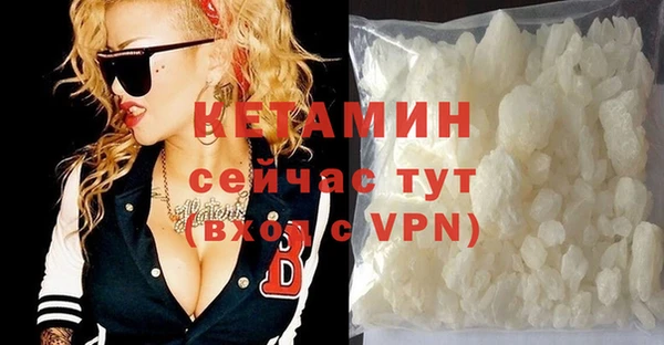 шишки Дмитриев