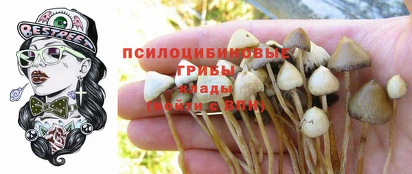 индика Елизово