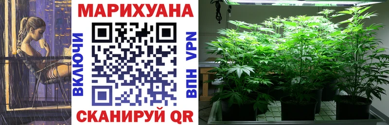 Купить где  Колпашево  МАРИХУАНА конопля 
